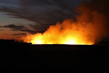 Fototapeta na wymiar Australian Bush Fire
