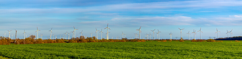 Viele Windräder stehen auf einem Feld und produzieren Strom