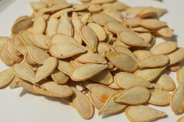 Many pumpkin seeds are gathered together on a white container.
