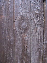 Old wood texture