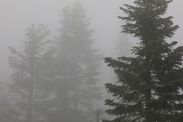 Vancouver, America - August 18, 2019: Foggy at Grouse Mountain, Vancouver, America