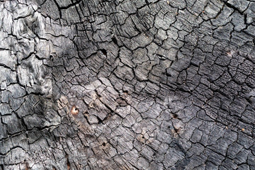 Cracks old wood flooring black for the background