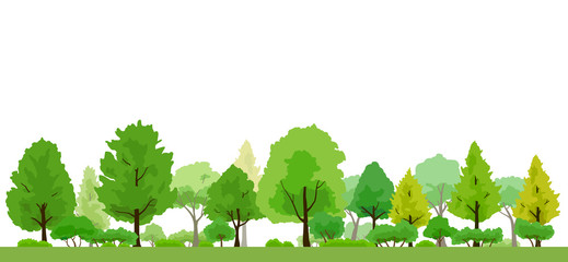 緑が生い茂る木の風景