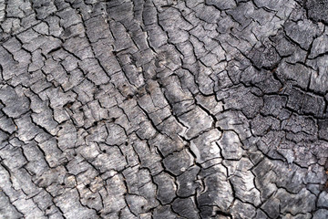 Cracks old wood flooring black for the background