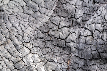 Cracks old wood flooring black for the background