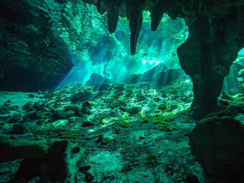 Cenote Scuba Diving, Underwater Cave In Mexico