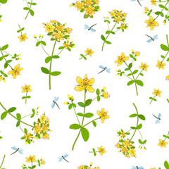 St. John's wort flowers and inflorescences on a seamless background