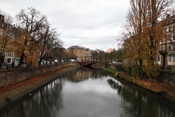 Autumn Canel