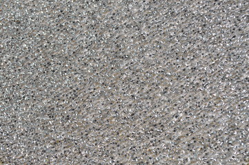 Many pumpkin seeds are gathered together on a white container.