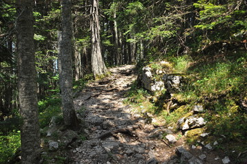 Black lake in the Durmitor mountains near Zabljak. A beautiful place in Montenegro