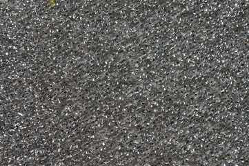 Many pumpkin seeds are gathered together on a white container.