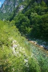 The bridge on the Tara River in Montenegro and the bridge connecting the two banks of the canyon. A...