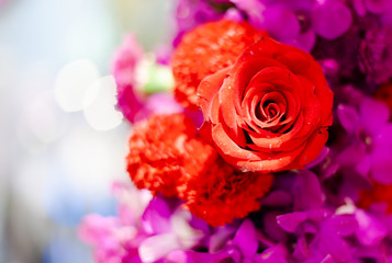 Bouquet of fresh roses, flower bright background.