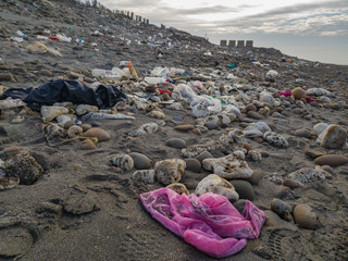 beach surrounded by garbage