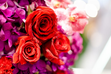 Bouquet of fresh roses, flower bright background.