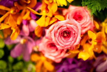 Bouquet of fresh roses, flower bright background.