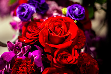 Bouquet of fresh roses, flower bright background.