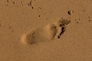 Footprints on the shore of the sea