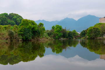 reflection of trees in the river