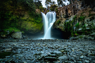 waterfall in the forest