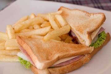 french fries and green salad sandwich