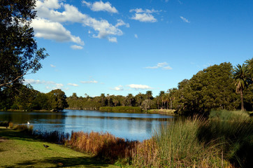 Fototapeta na wymiar A section of Centennial Park in Sydney, Australia