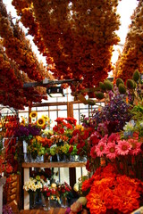 Fototapeta na wymiar Blumenmarkt in Bloemenmarkt Amsterdam 