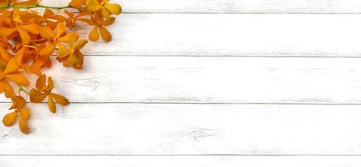 Yellow orchid flower on white wooden plank with copy space. Spring floral banner background.
