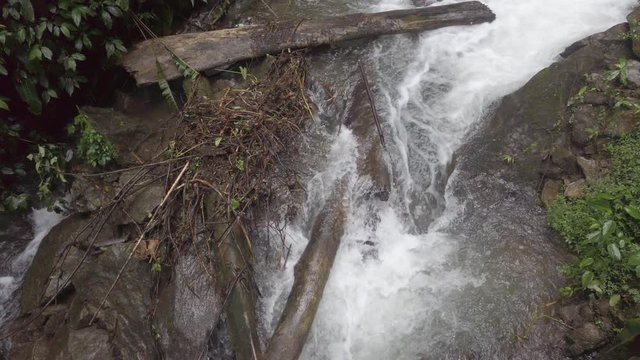 Huge stream during rain in jungle forest in Mindo, Ecuador