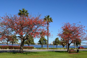 A view of Riverside Drive and the Swan River in Perth, Western Australia