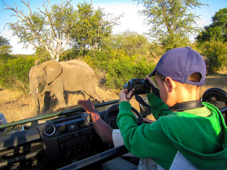 Photographer taking safari pictures in Kruger NP, South Africa