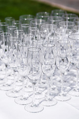 Set of blank empty wine glasses displayed in rows. Preparation for the holiday.