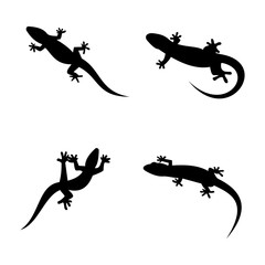 Fototapeta premium Lizard logo template vector illustration design icon