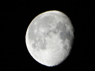 luna © paolo