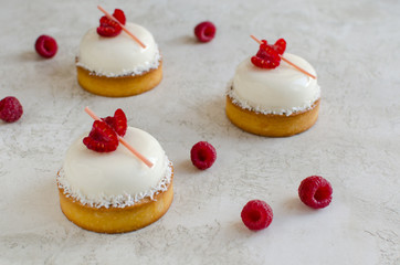 Contemporary coconut mini mousse tarts decorated with fresh raspberries on light background
