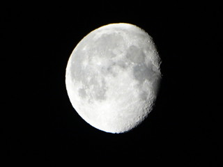 luna © paolo