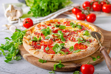 Pizza margherita homemade