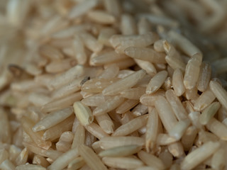 Brown Jasmine Rice grains closeup