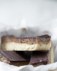 Sugar free vegan chocolate sticks with coconut and dates