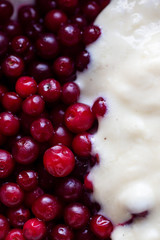 Coconut vegan yogurt with lingonberry