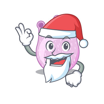 Viridans streptococci Santa cartoon character with cute ok finger