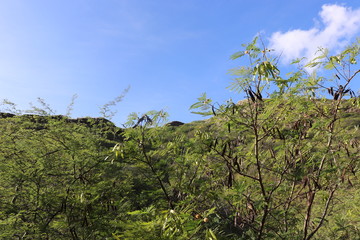 Honolulu Diamond head and Honolulu beach