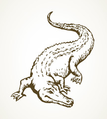 Crocodile. Vector drawing animal icon