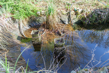 Teich Gartenteich Wasser ablassen zum reinigen vorbereiten mit alten Blättern vom Herbst auf dem Boden
