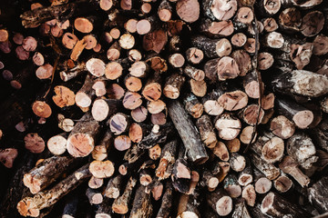 wooden sticks, firewood, wood background