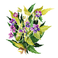 A bunch of flowers drawn by hand in watercolor . Small lilac flowers, green lush leaves.Sketch