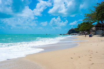 Fototapeta na wymiar Gorgeous tropical sandy beach with palm trees, blue sky and clear water.
