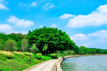 Lakeside Park Landscape. West Lake, Quanzhou, China.