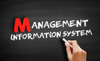 Management Information System text, business concept background © dizain