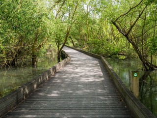 Wooden walkway through the Salburua Wetlands on the Green Belt Trail in Vitoria-Gasteiz, Basque Country, Spain